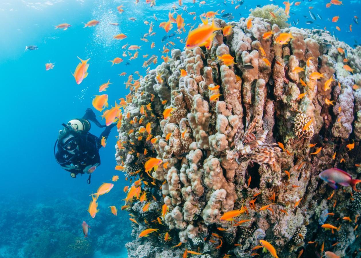 Al Raha Village - Aqaba Ngoại thất bức ảnh